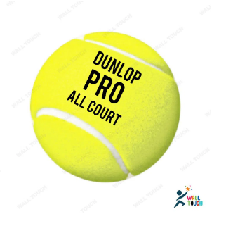 DUNLOP প্রো প্রোফেশনাল ৩পিস/জার টেনিস বল all court sports for Practice