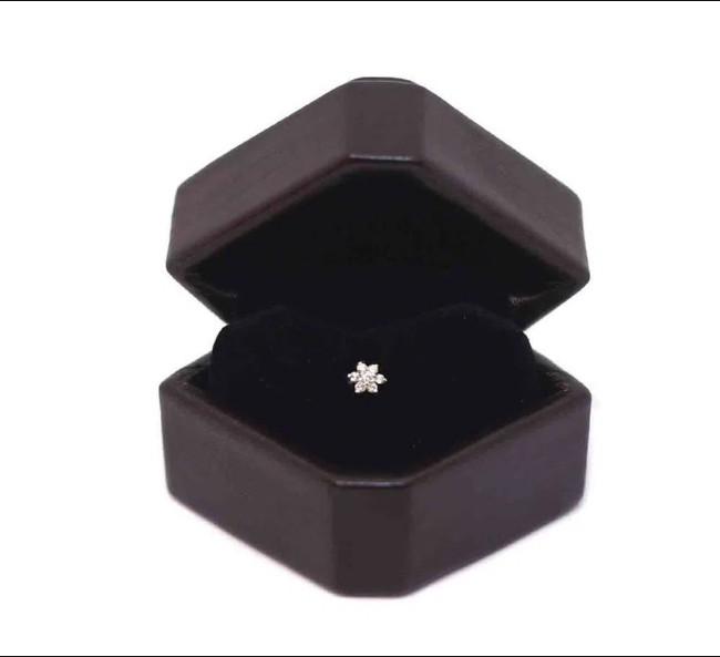 PLC-AD Diamond Cut 0.45 নোজ পিন