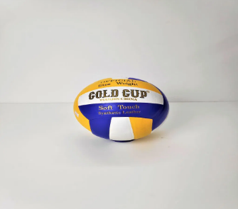 Gold Cup ভলিবল