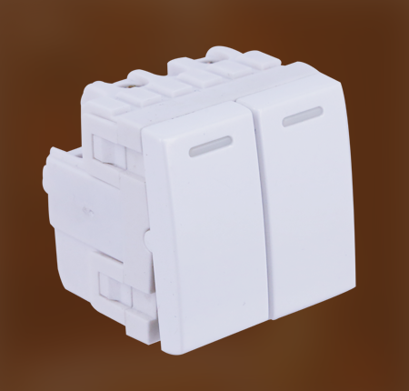 স্যুইচ সকেট (S3 এবং V8 সিরিজ) DS-EE-SS-106-Double-Switch